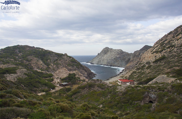 trekking-il-sentiero-verde